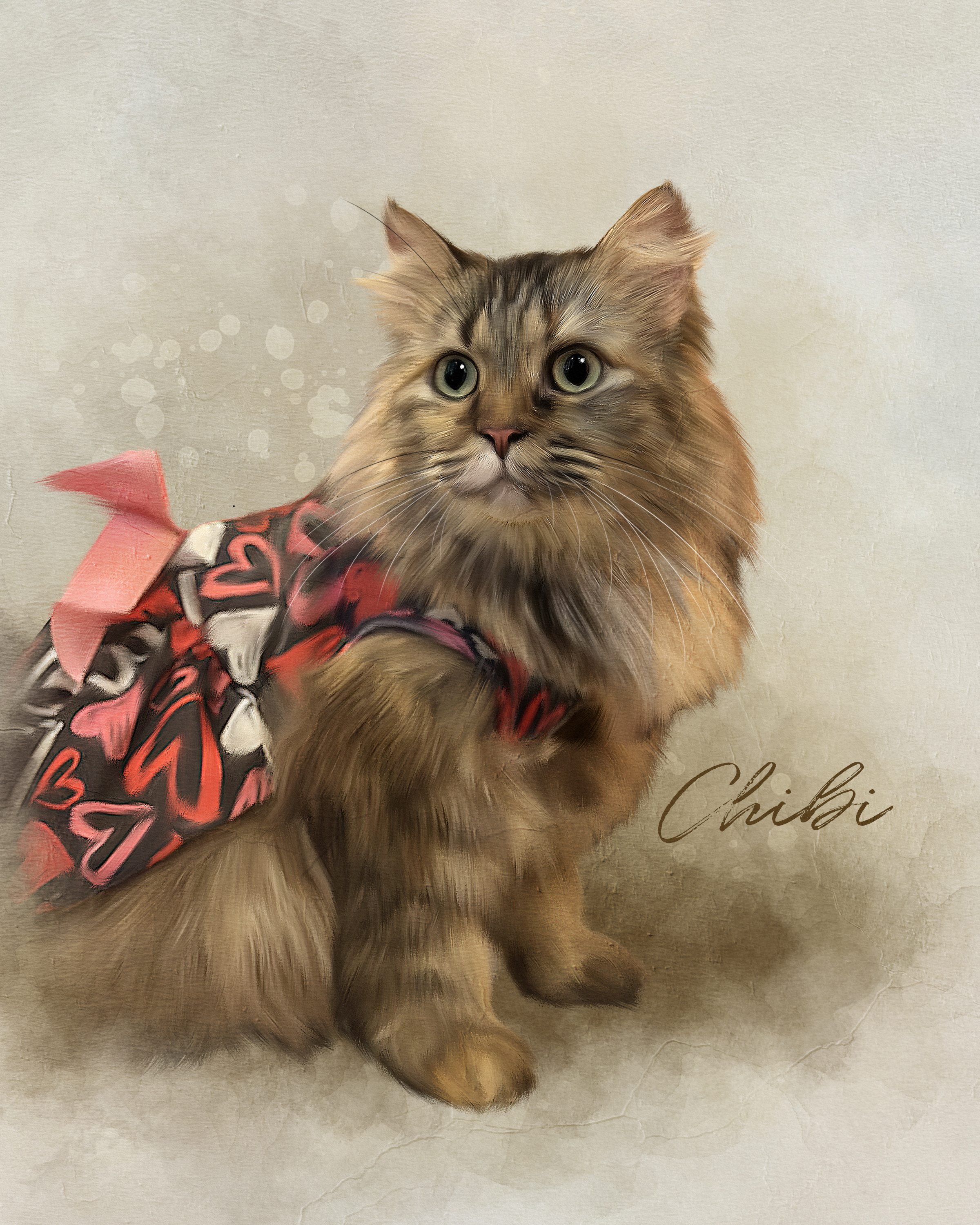 Chibi, a resident cat at Angel's Cat Cafe