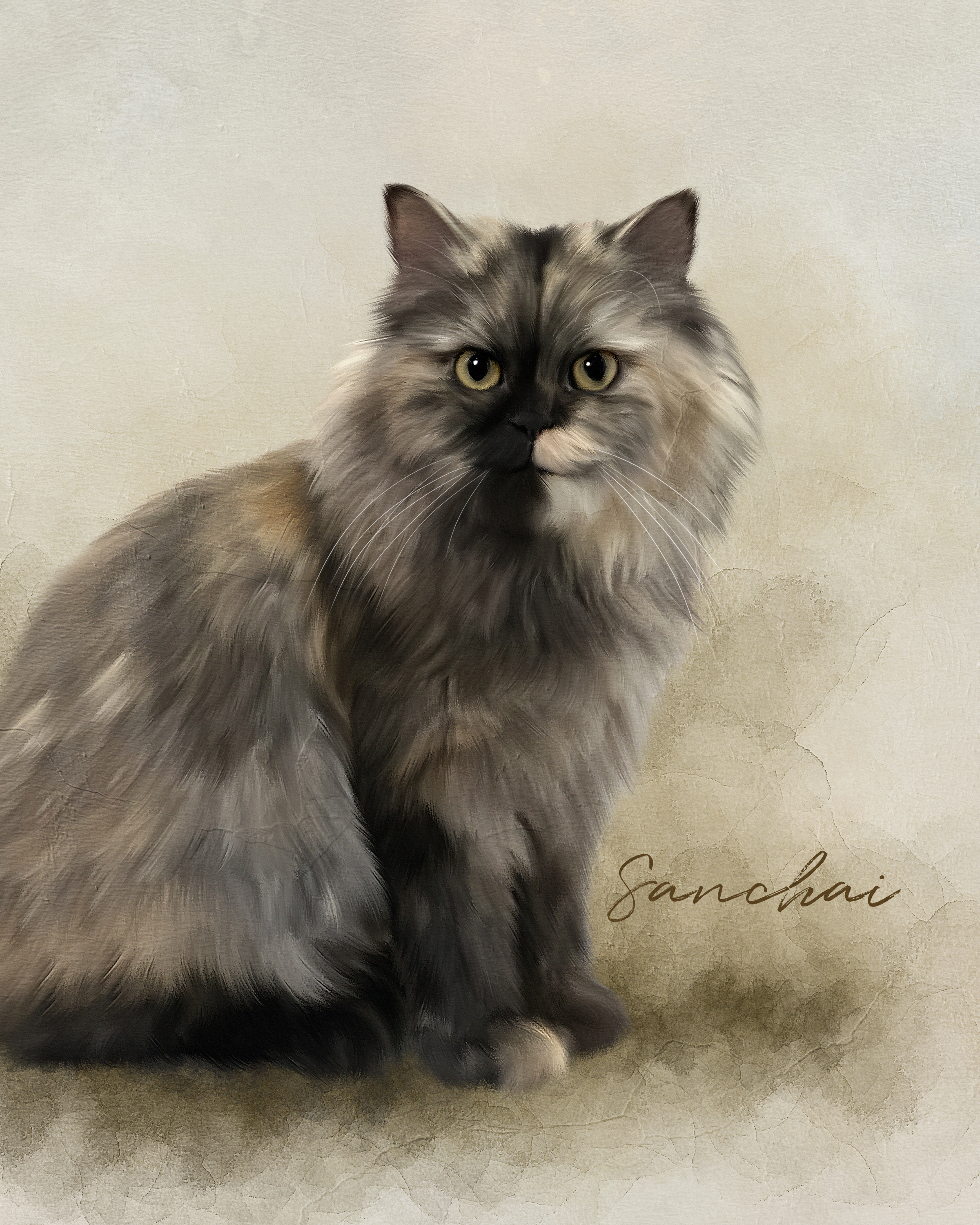 Sanchai, a resident cat at Angel's Cat Cafe