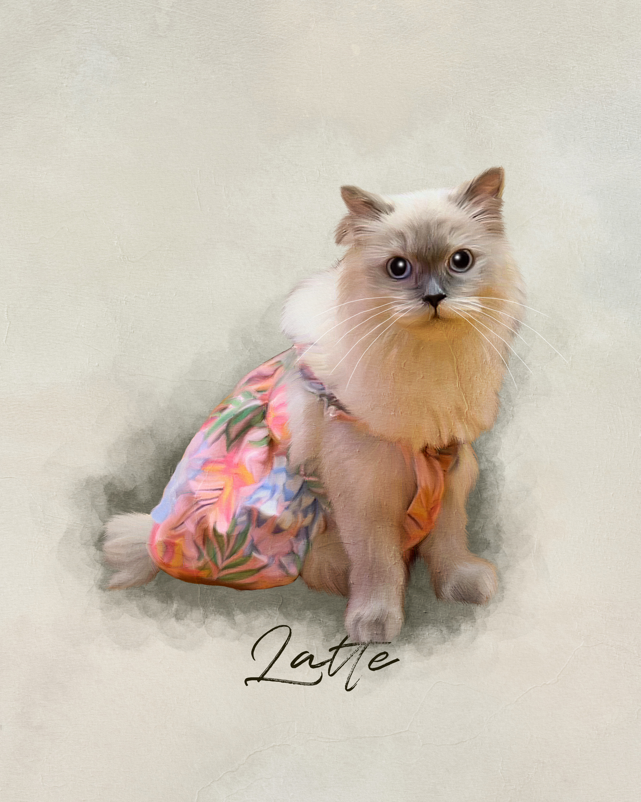 Latte, a resident cat at Angel's Cat Cafe